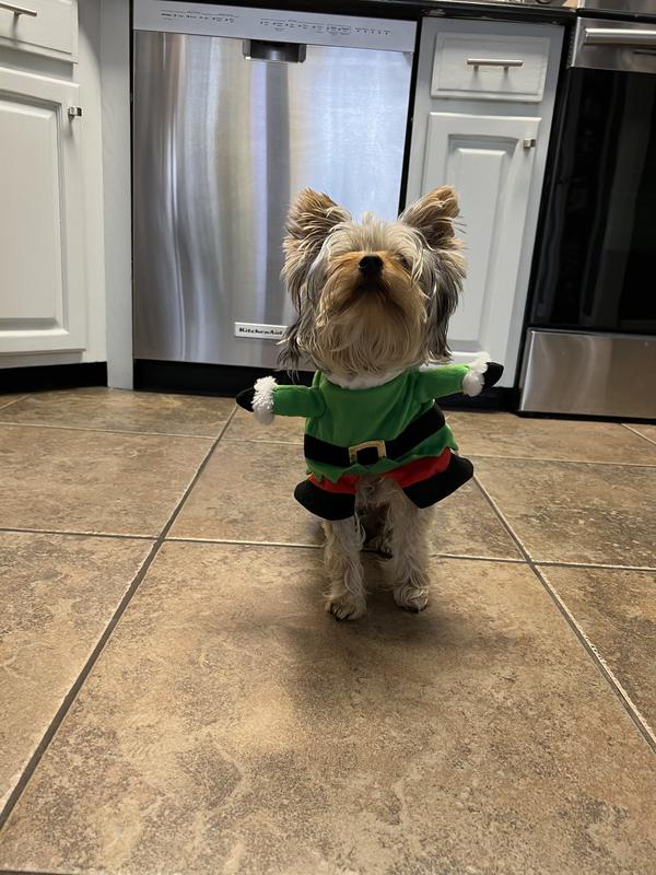 Elf costume