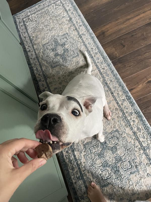 Great treat!