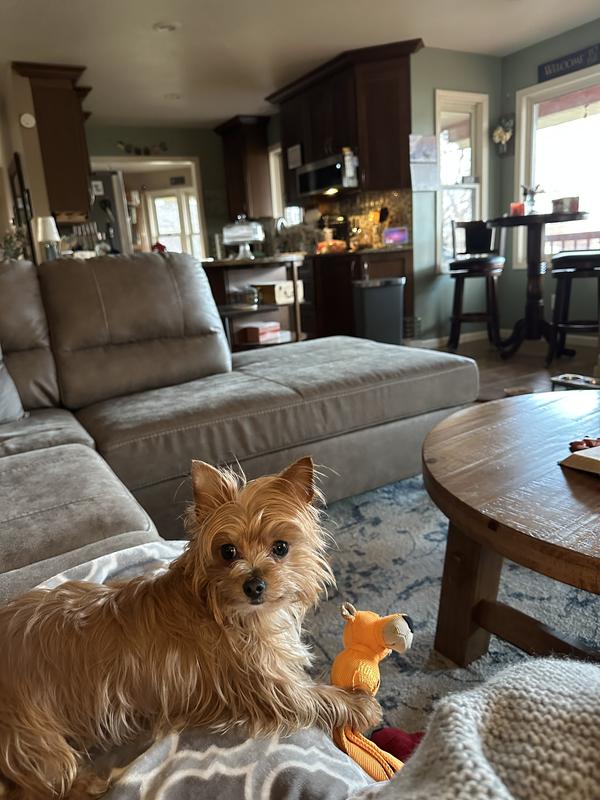 Lilly and her Dufus toy.