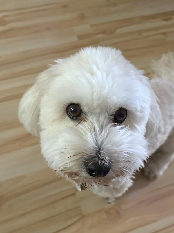 Fixes my tummy troubles