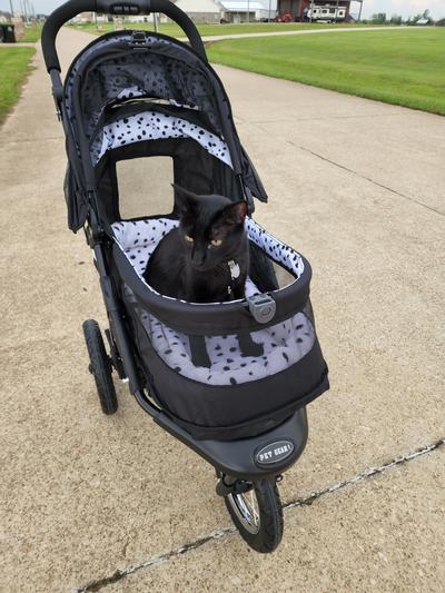 Pet Gear No-Zip NV Pet Stroller for Cats/Dogs, Easy Entry, Gel