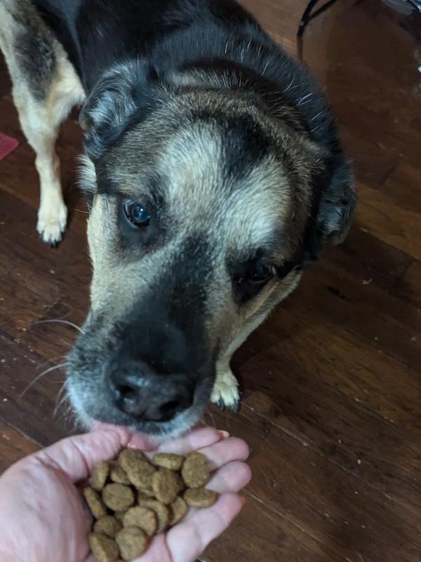 First the sniff test