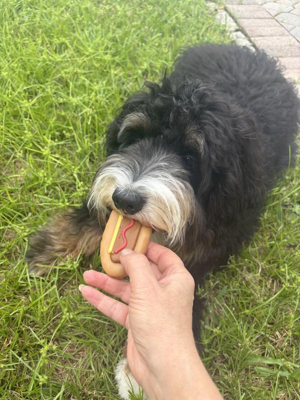 Ahsoka Loving the hot dog cookie!