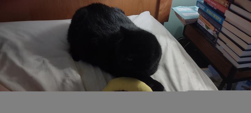 She loves her banana.