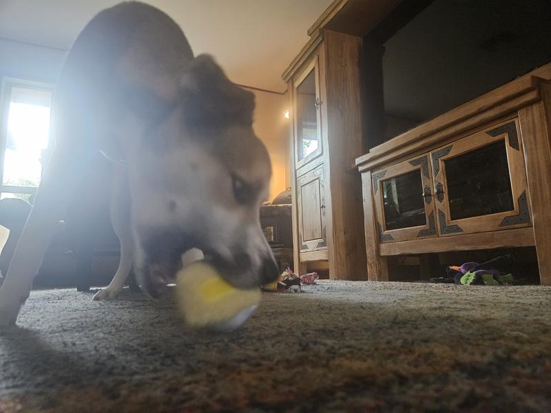 this is the last the cake slice was seen