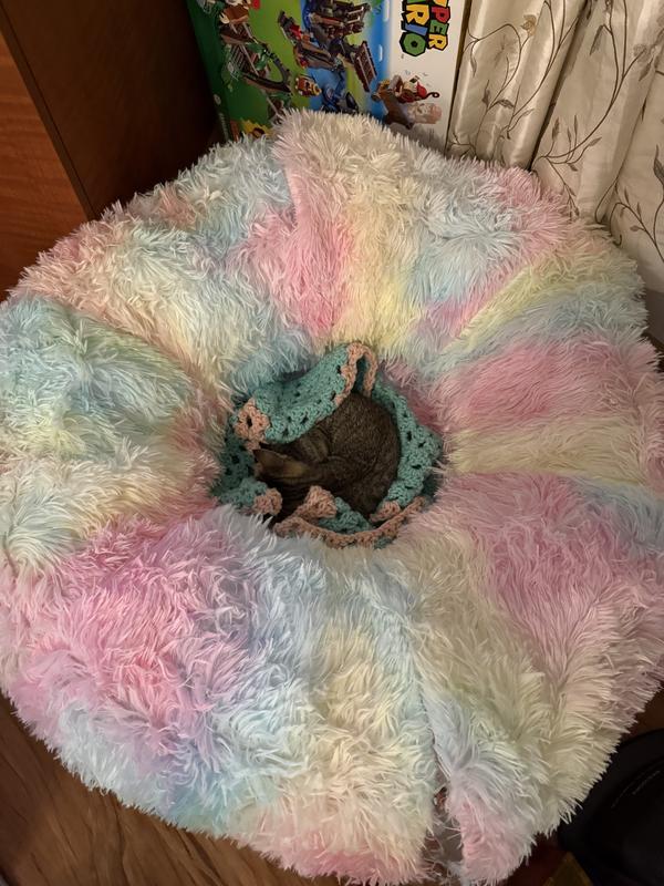 My kitten got swallowed up in the center