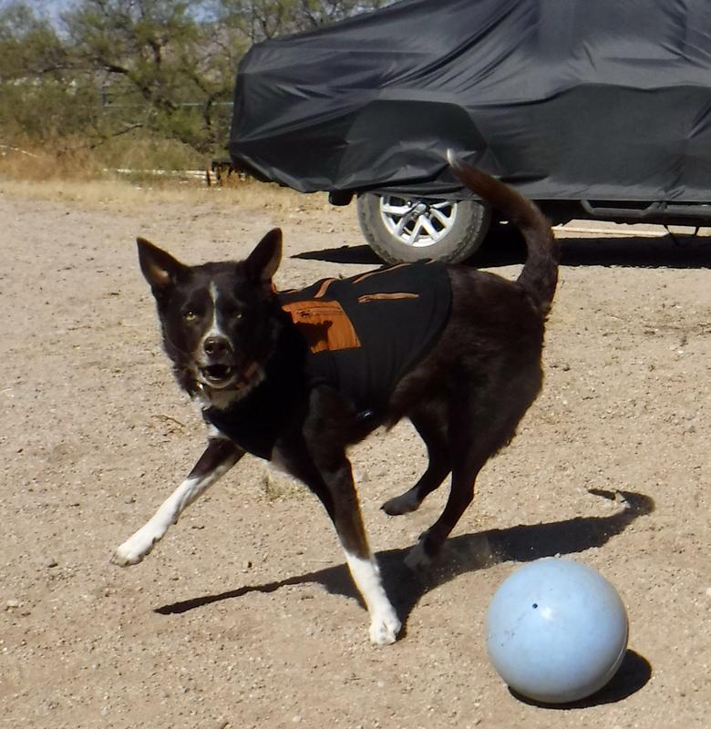 Beenie models her Frisco Leopard Print Lined Fleece Vest.