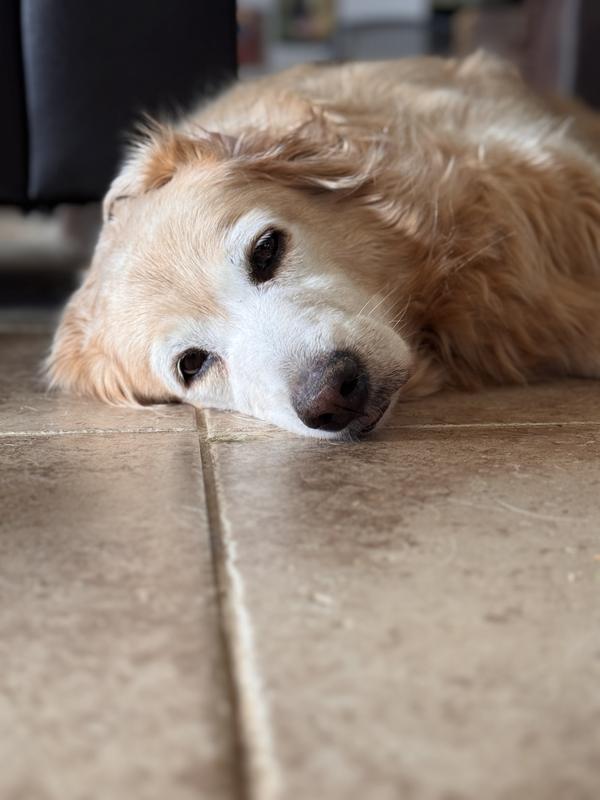 Sweet girl, Bella Bean