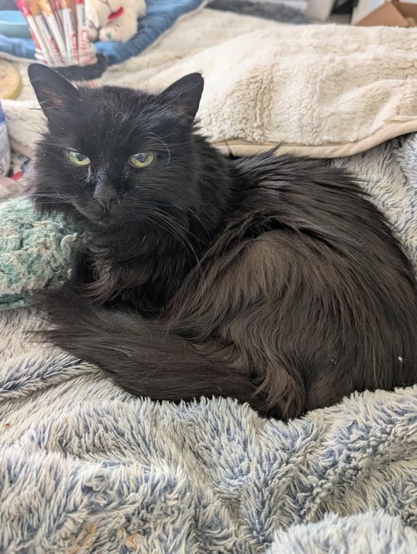 Madison, almost 19 yo