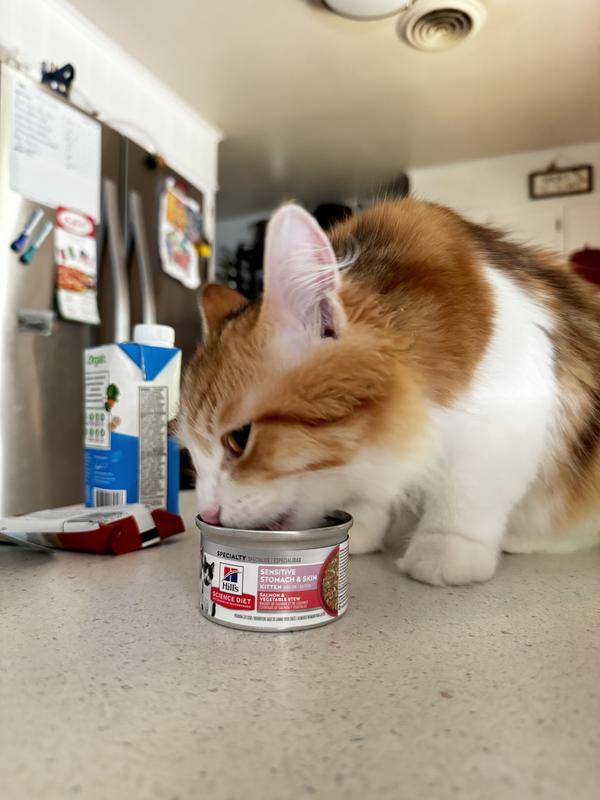 Out of Stock HILL'S SCIENCE DIET Kitten Sensitive Stomach & Skin