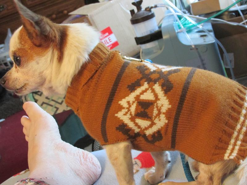 Frisco Western Pattern Dog & Cat Sweater