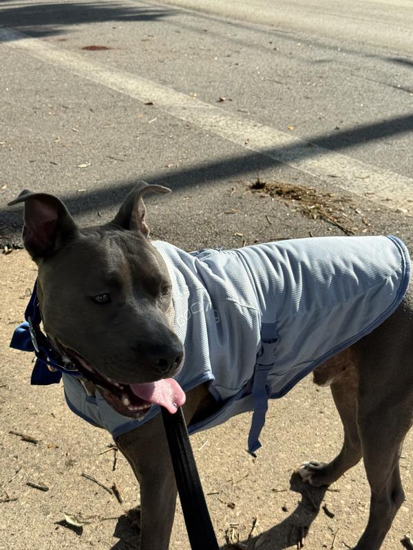 Staying cool in the Florida heat