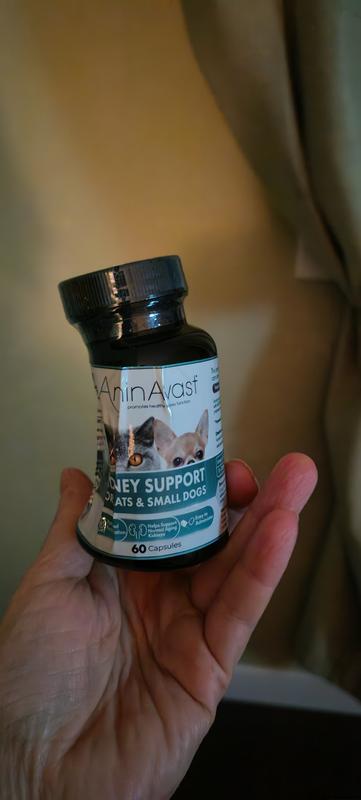 AMINAVAST Kidney Support Cats & Small Dogs Supplement, 60 count