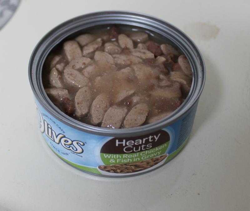 The food inside the can