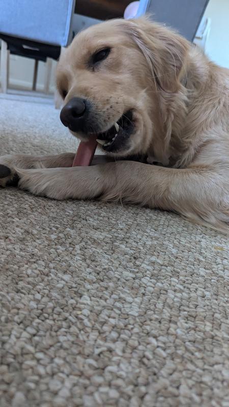 Days later, still loving it.