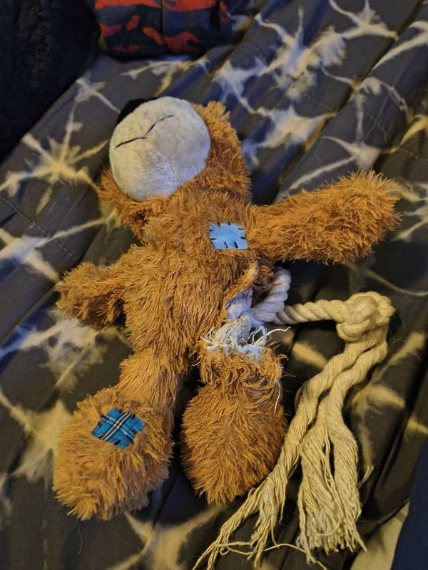 The rope and squeaker have been ripped out
