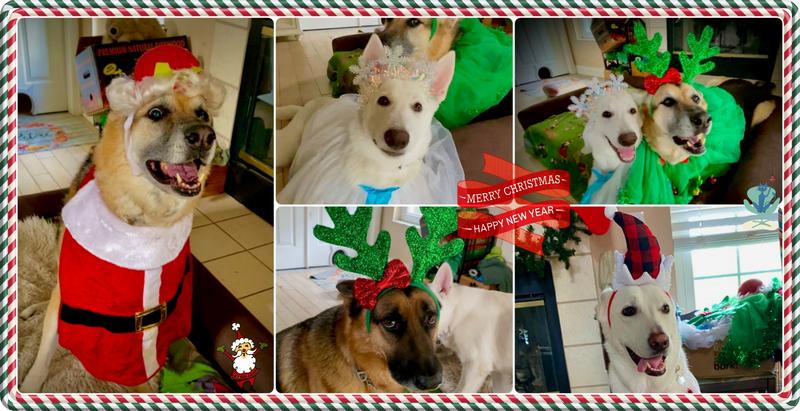 The Christmas FURRY pack.