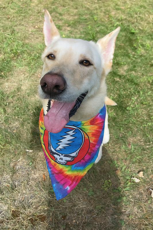 Happy Trails to you!