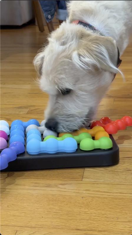 RoxNvm Jeu Intelligence Chien, Jeux Intelligence Chien, Gamelle pour
