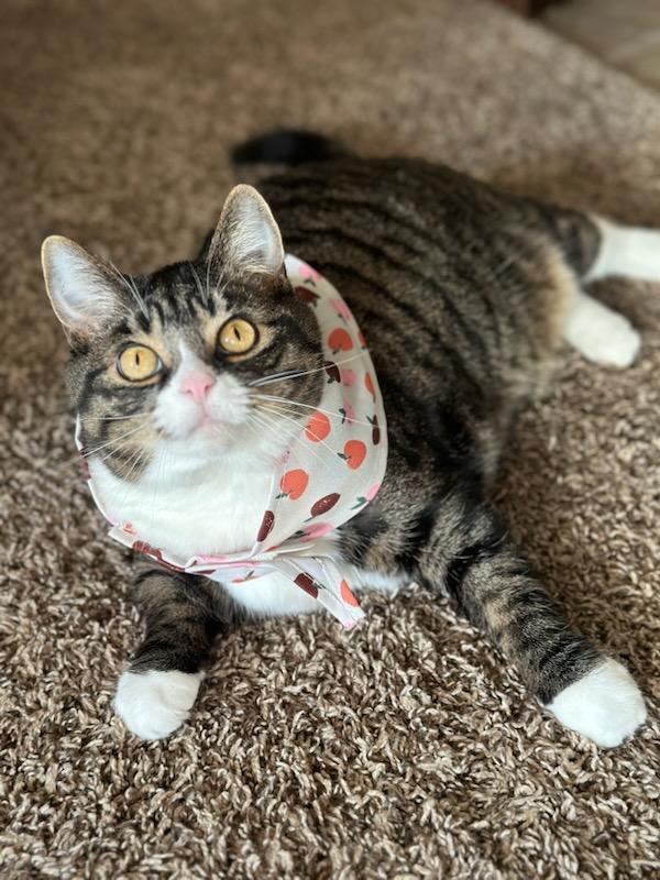 Rue loves modeling her Frisco bandana