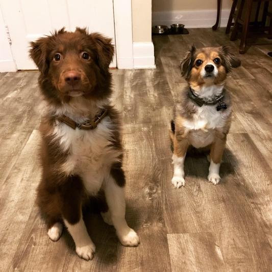 Remington and Jemma