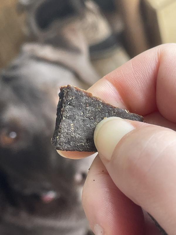 Pressing as hard as I can with my nail, doesn’t make a dent. And Bella begging in the background.