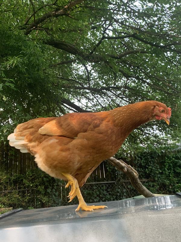 Pretty & friendly & top producer !