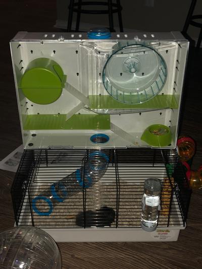 Midwest arcade hamster outlet cage