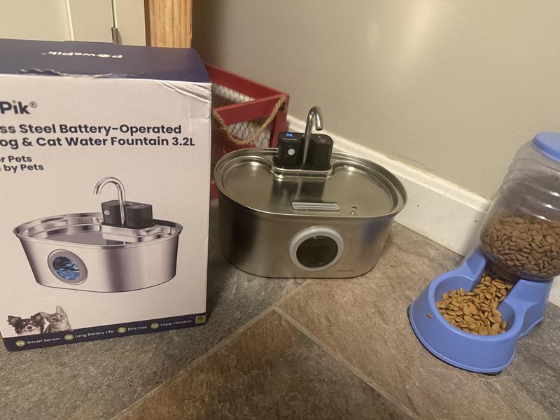 This is great size for cats. Small box, small footprint