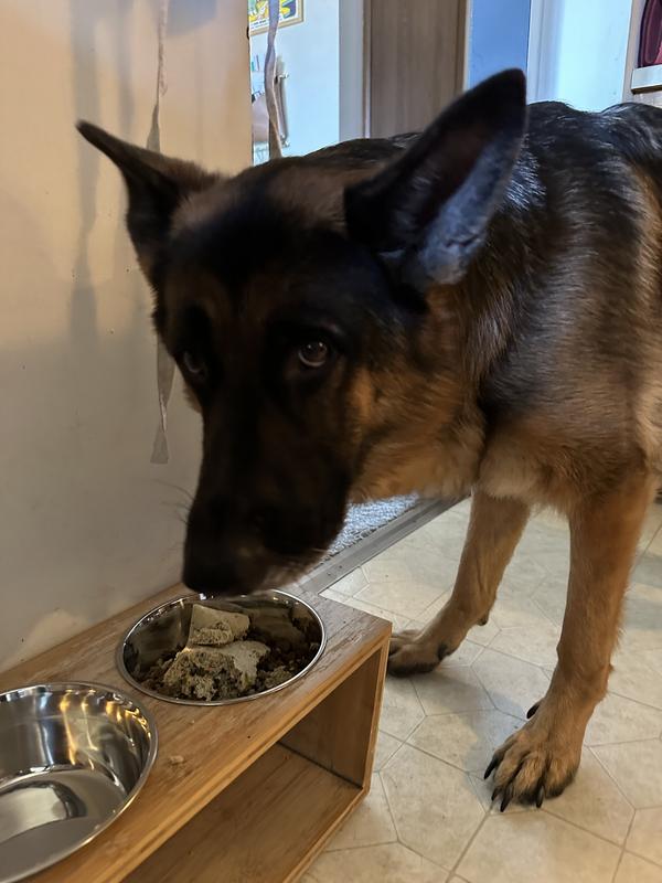 Patiently waiting for the okay