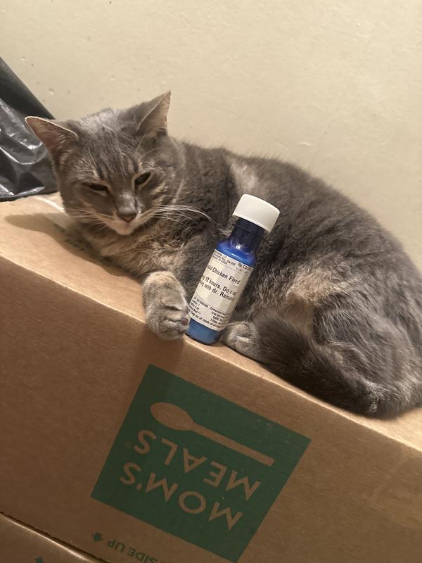 Lilu is feeling better maybe not so happy to be posing next to her medicine but we’re glad she’s not so sick.