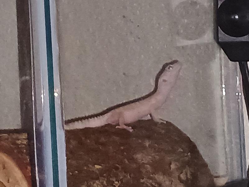 Frosty seem to be happy I'm happy to