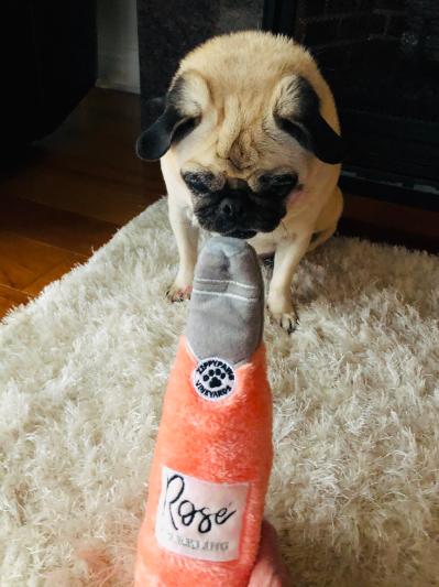Product Reviews for ZIPPYPAWS Ros Happy Hour Crusherz Dog Toy