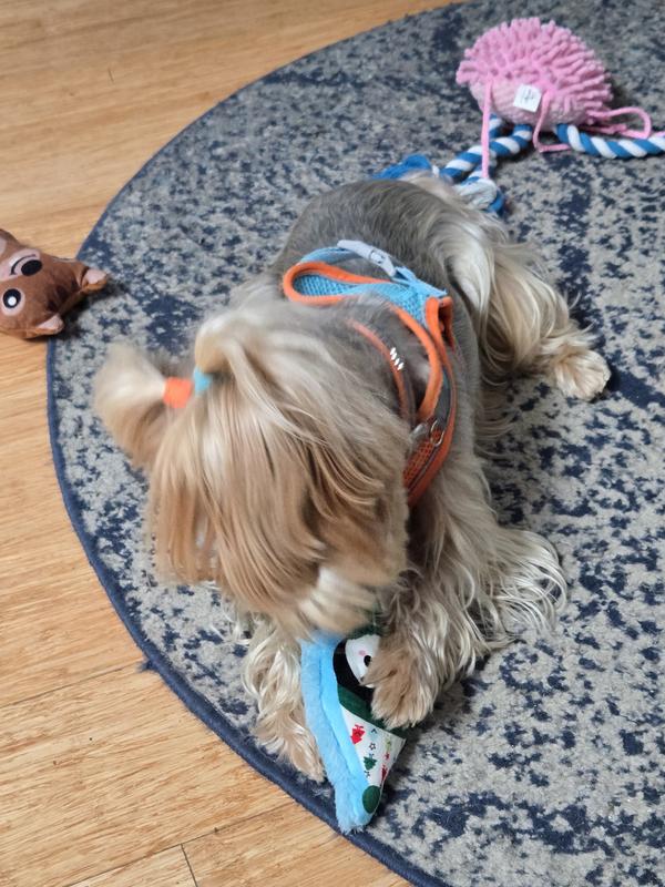 Early holiday toy chosen over other toys