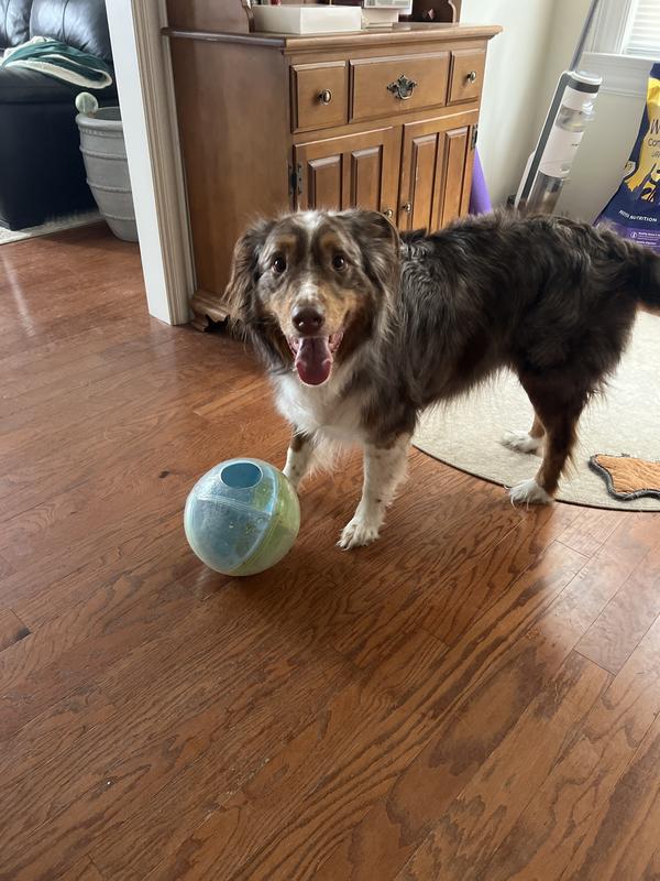 Obsessed is an understatement.