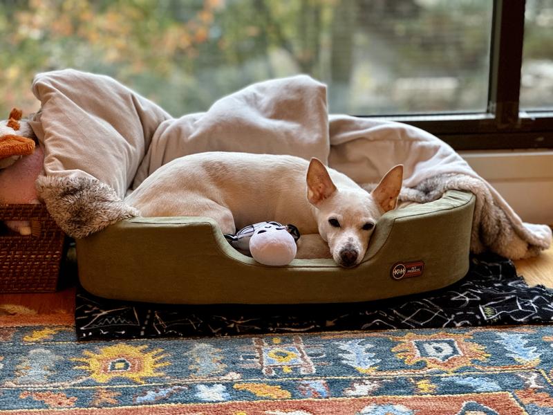 Thermo snuggly outlet sleeper