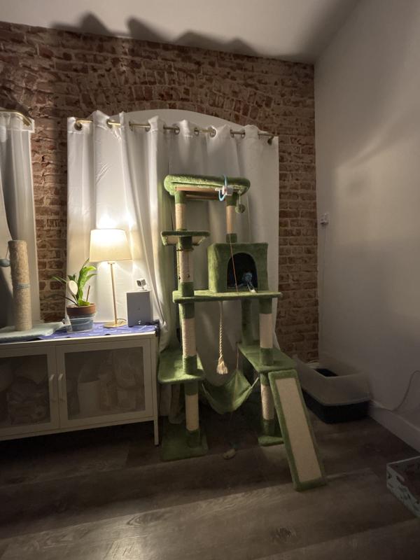 Size reference. The green is closer to Chartreuse.