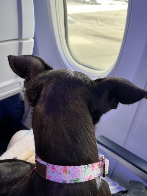 Arriving in San Diego