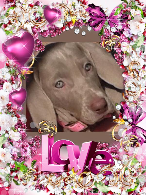 My Love 💜💜💜