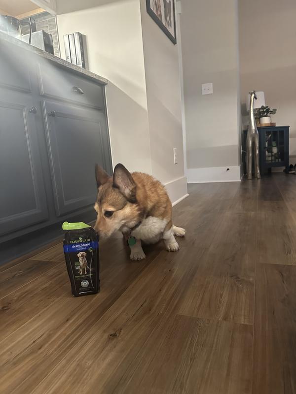 Pre-bath sniff test.