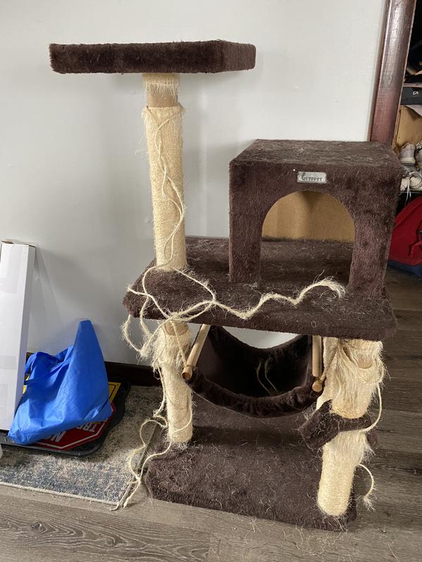 Best cat tower. It’s held up for 6 years and just recently started this shedding.