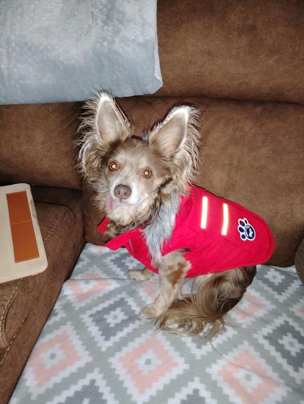 CANADA POOCH Everest Explorer Premium Faux Down Insulated Dog