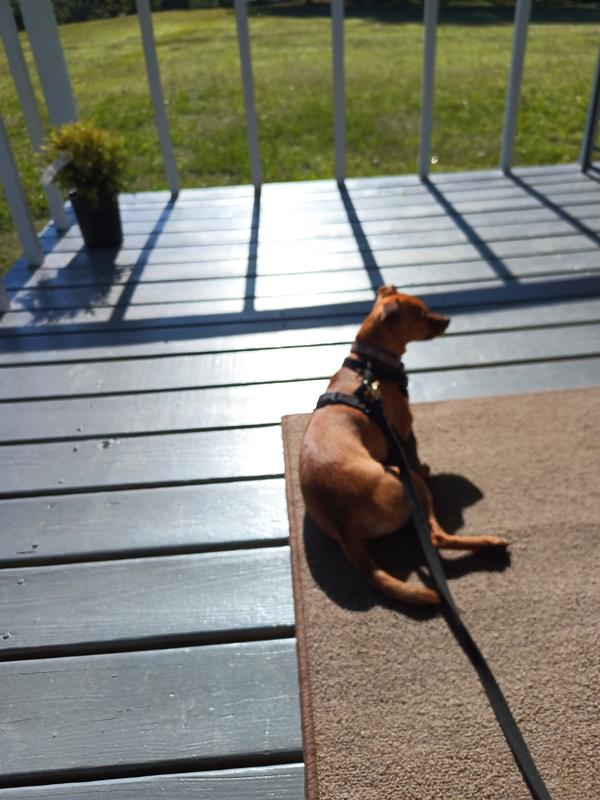 A string for our Bean #stringbean