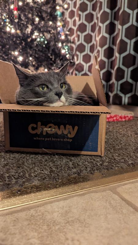 Thanks Chewy!
