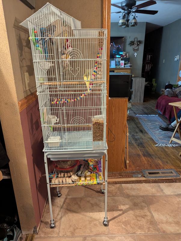 My birdie condo