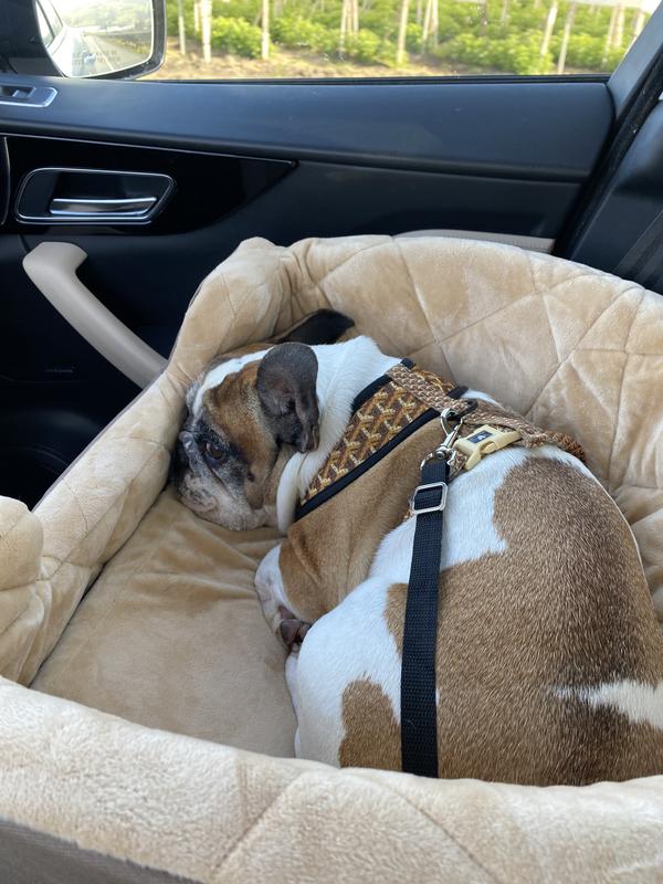 All snuggled in