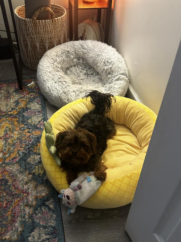 Pineapple dog hot sale bed large