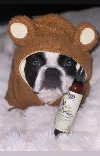 #havocofmadhatterland approved