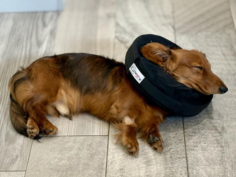 Good for a snooze!