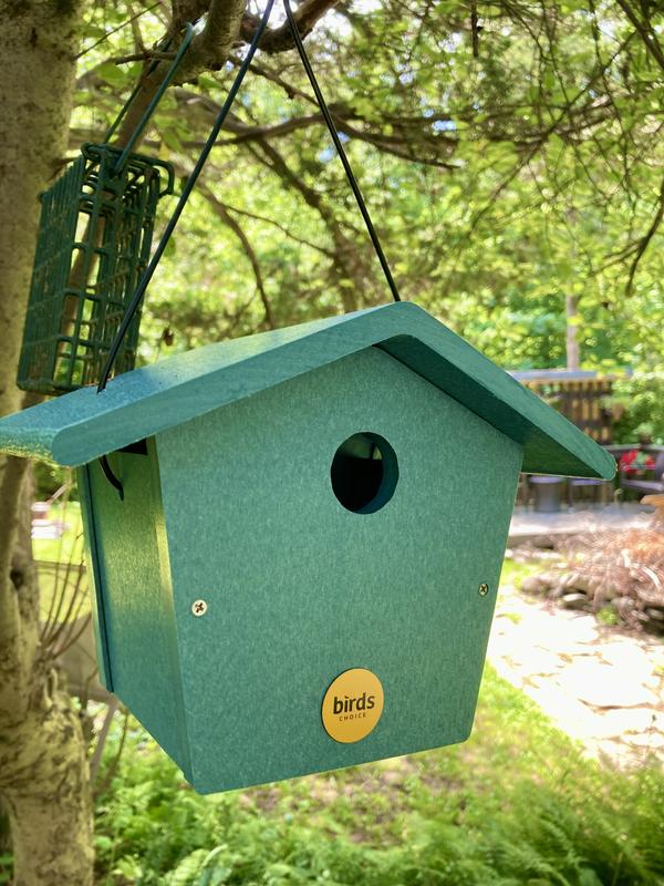 Looks greenish in this photo, but it's def. blue